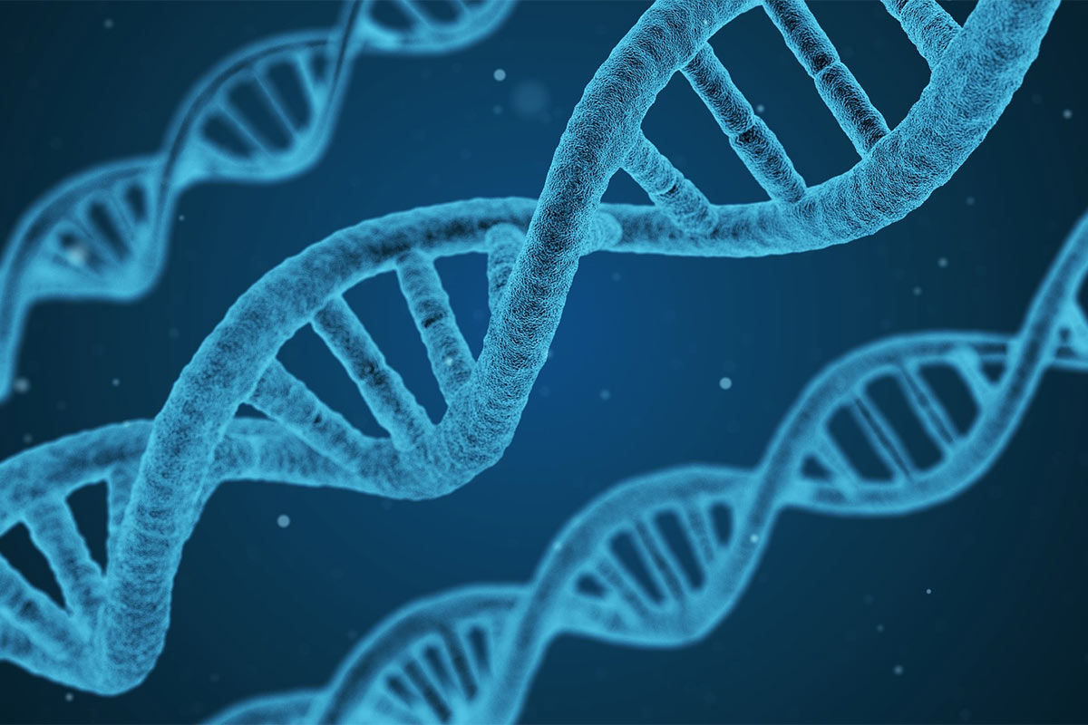DNA Romance: The (Literal) Genetics Behind Love